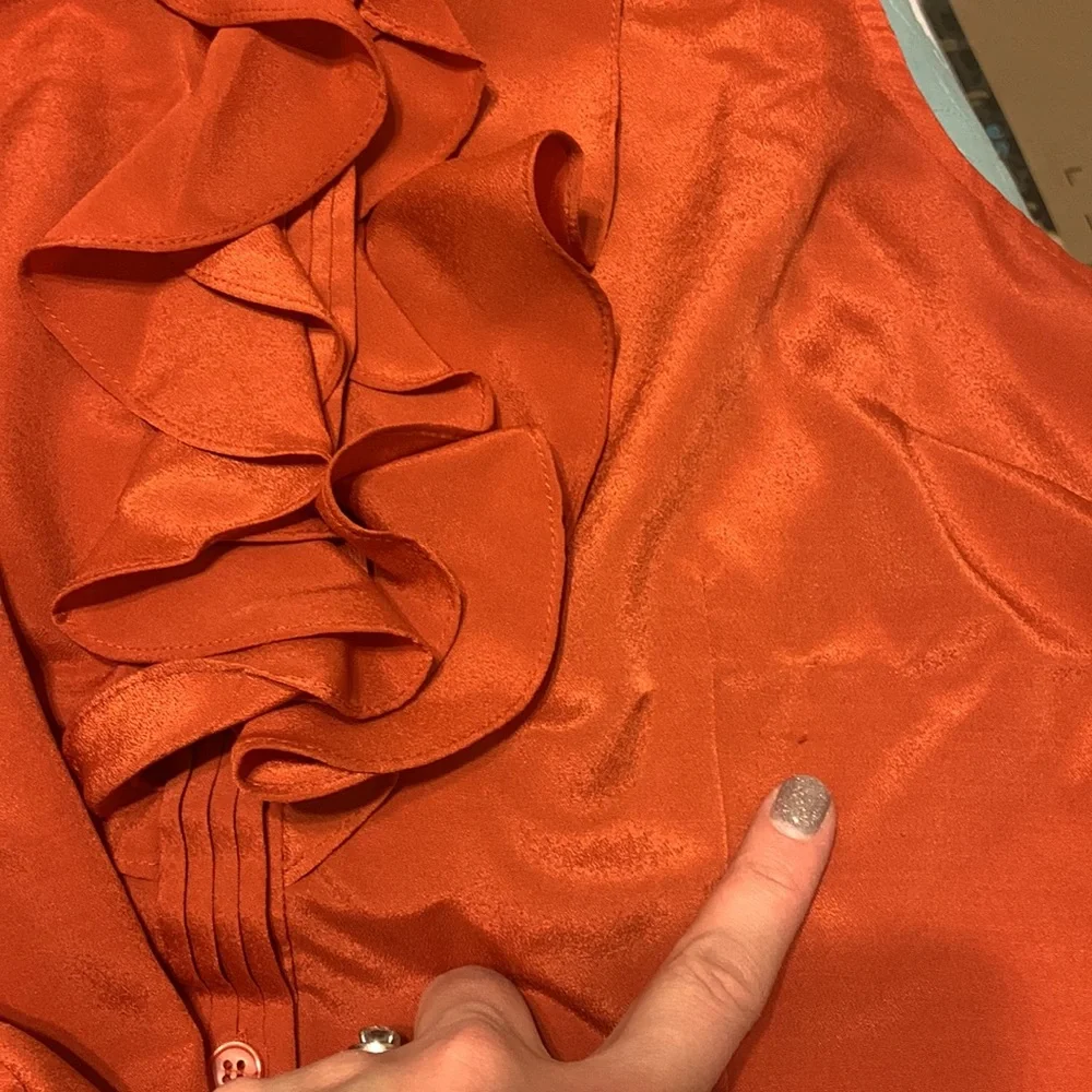 The Limited Ruffle Blouse - Picture 5 of 5